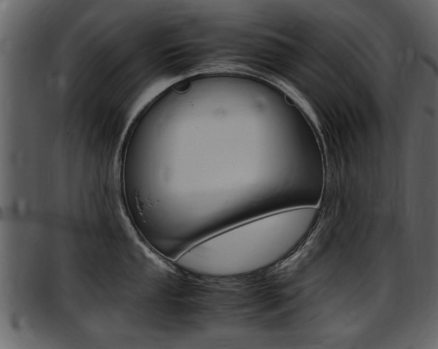 X0000097641053200802290818