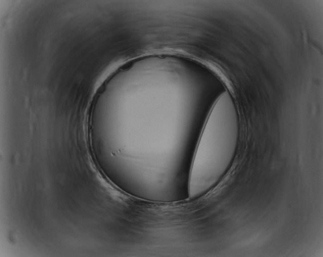 X0000097641054200802290818