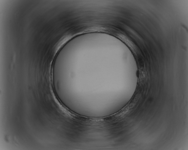 X0000097641055200802290818
