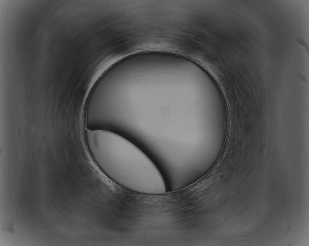X0000097641056200802290818