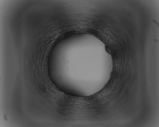X0000097641057200802290817
