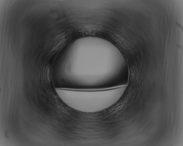 X0000097641060200802290817