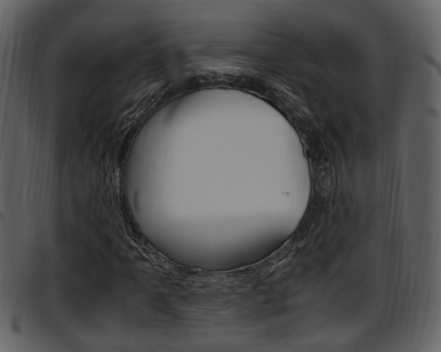 X0000097641061200802290817