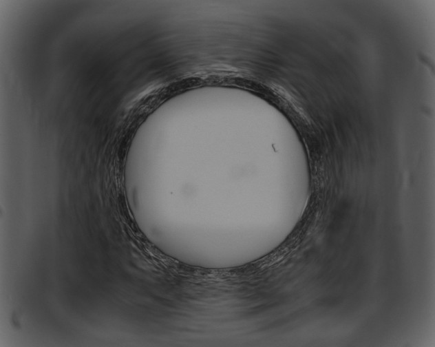 X0000097641063200802290817