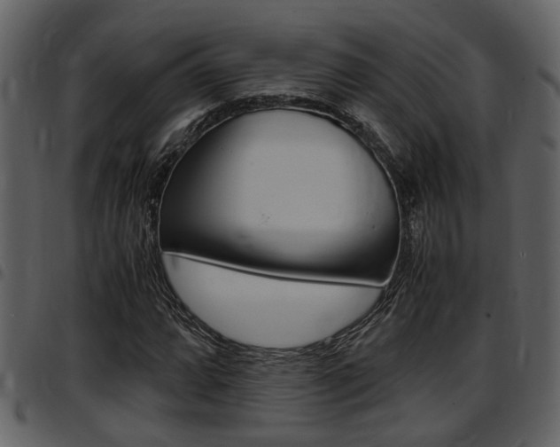 X0000097641064200802290817