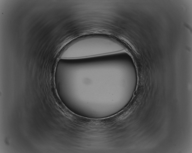 X0000097641065200802290817