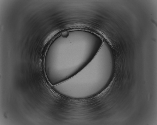 X0000097641066200802290817