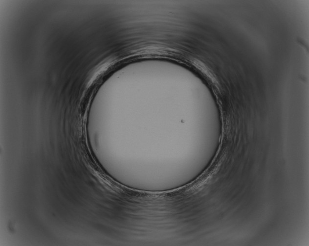 X0000097641067200802290817