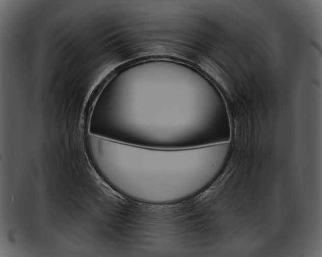 X0000097641068200802290817