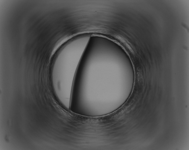 X0000097641069200802290817