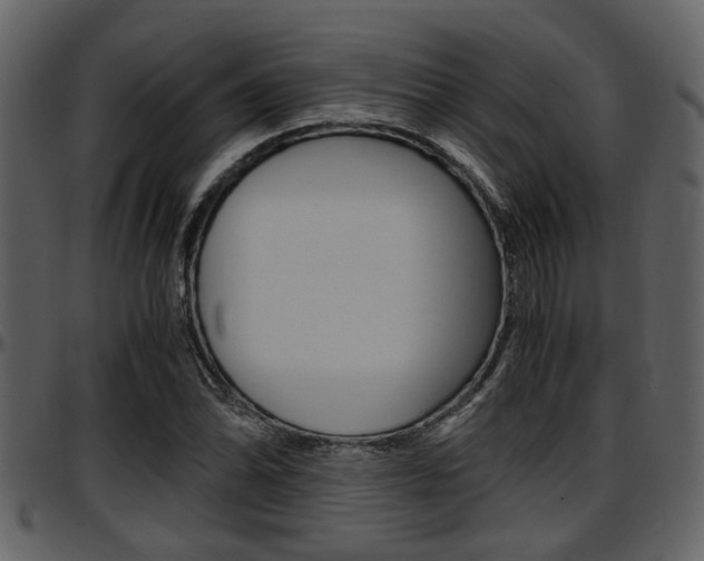 X0000097641070200802290817