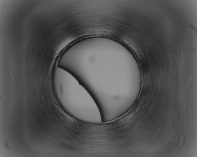 X0000097641071200802290817