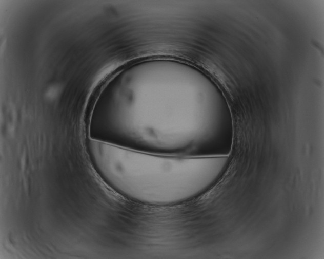 X0000097641072200802290817