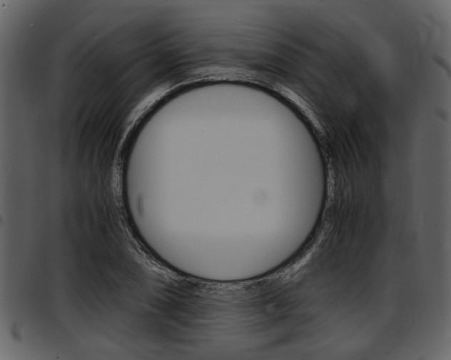X0000097641074200802290817