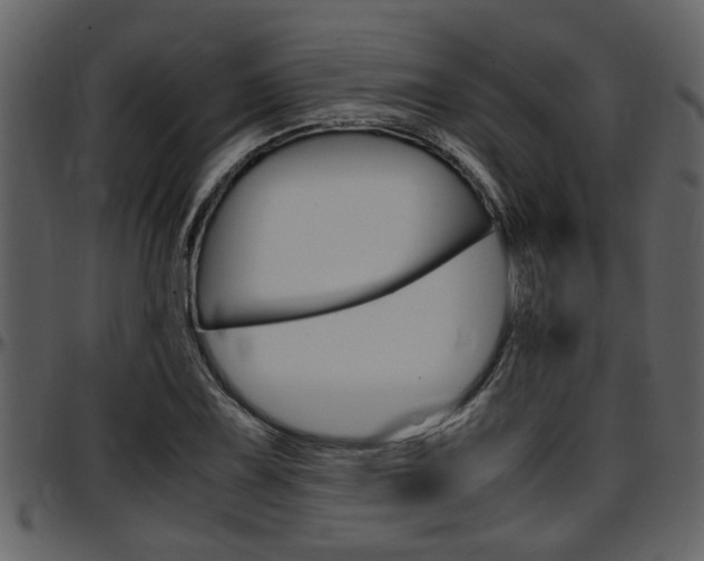 X0000097641075200802290816