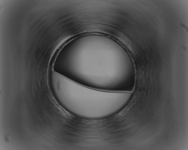 X0000097641076200802290816