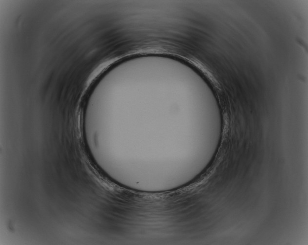 X0000097641078200802290816
