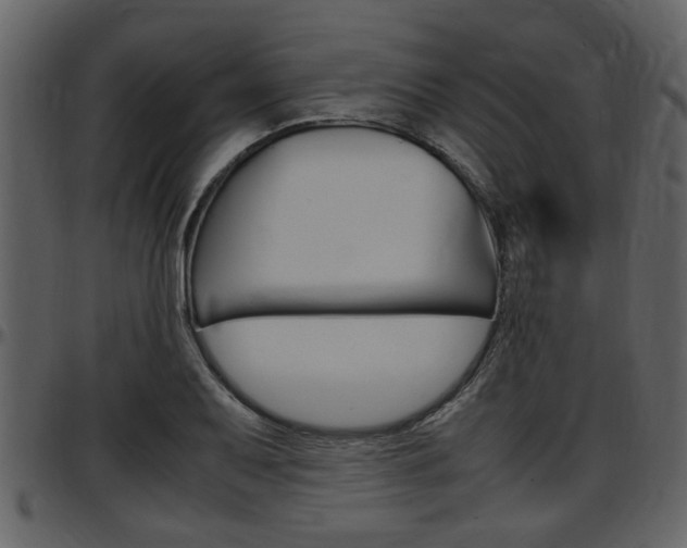 X0000097641079200802290816