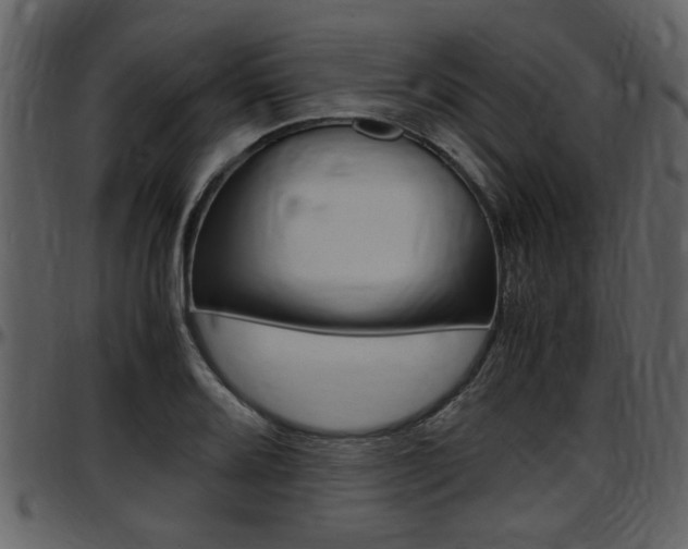 X0000097641080200802290816