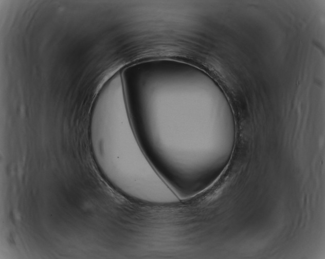 X0000097641081200802290816