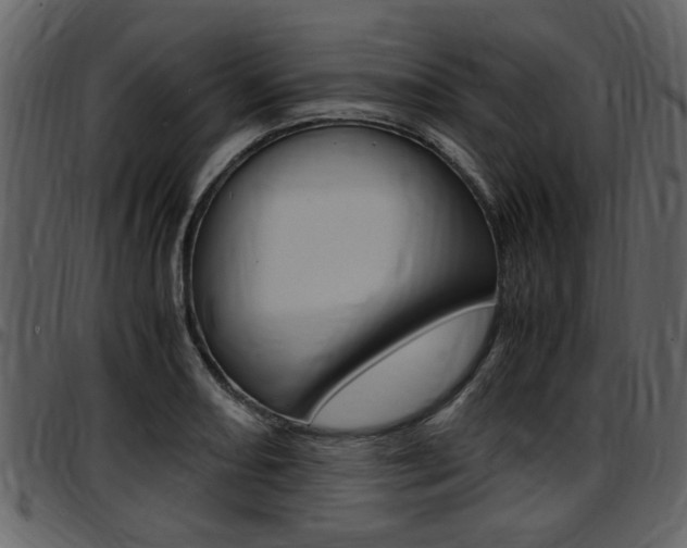 X0000097641082200802290816