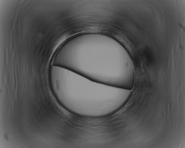 X0000097641083200802290816