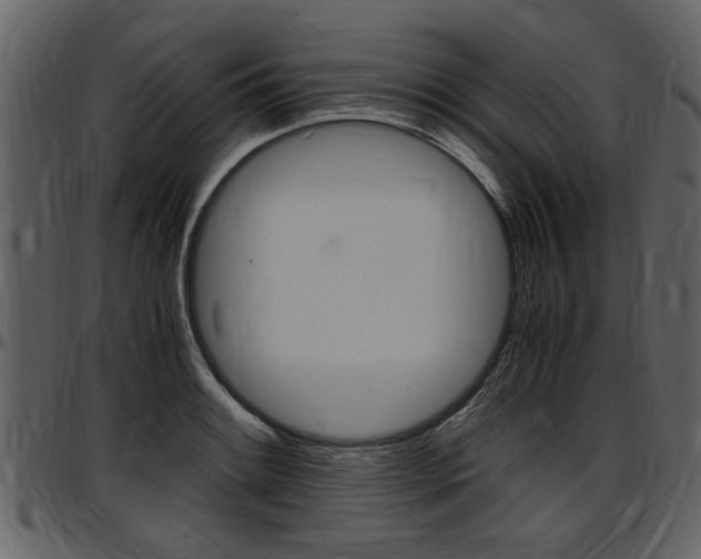 X0000097641084200802290816