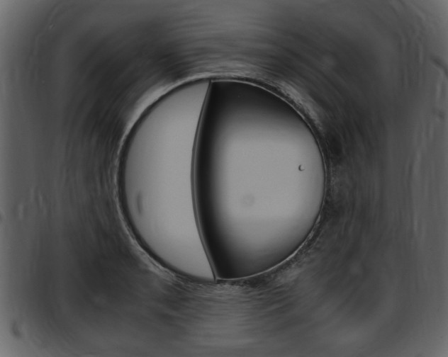 X0000097641085200802290816
