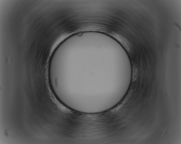 X0000097641086200802290816