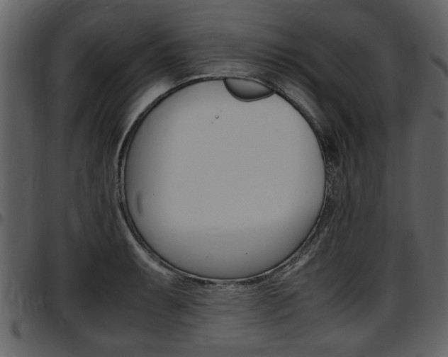 X0000097641087200802290816