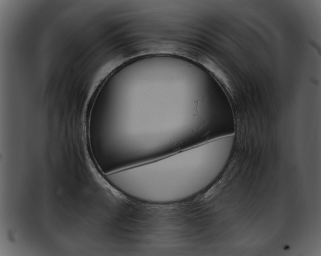 X0000097641088200802290816
