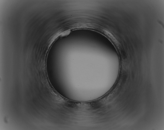 X0000097641089200802290816