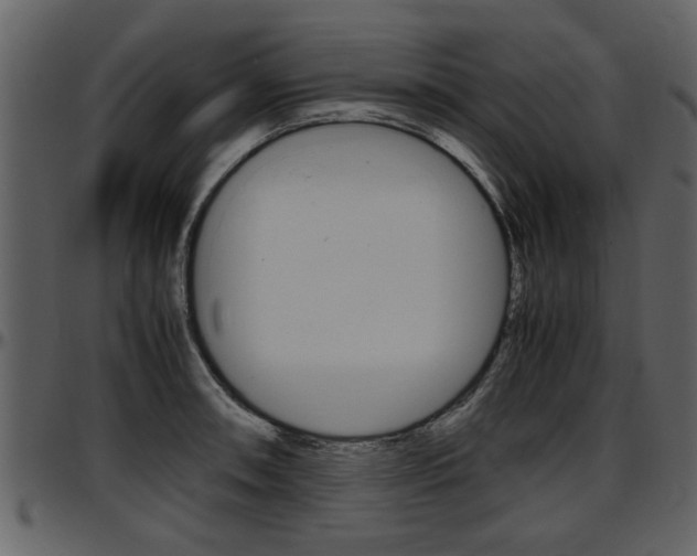 X0000097641090200802290816