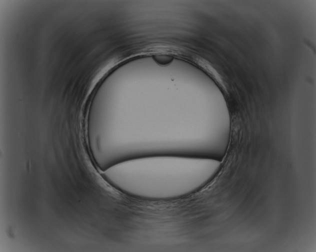 X0000097641091200802290816