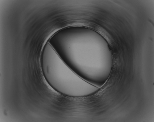 X0000097641092200802290816