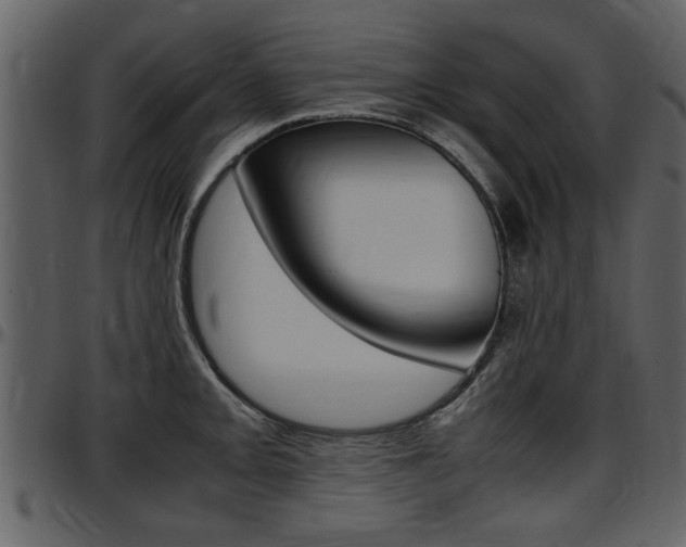 X0000097641093200802290816