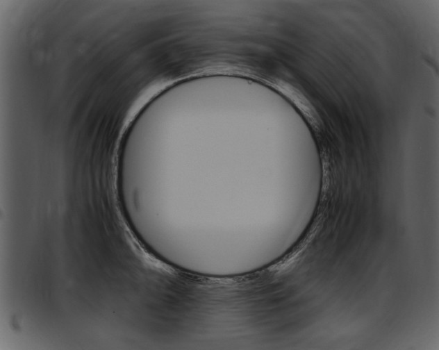 X0000097641094200802290816