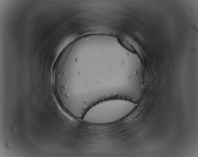 X0000097641095200802290816