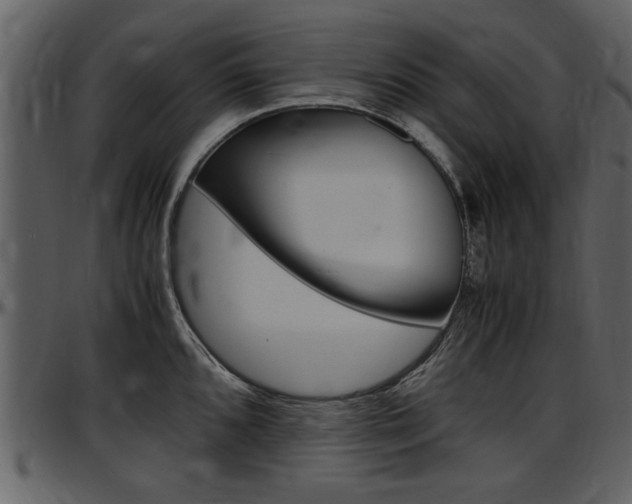 X0000097641096200802290816