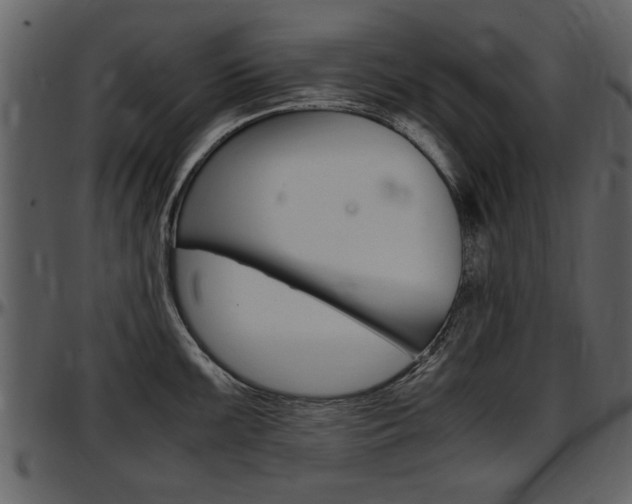 X0000097641099200802290816
