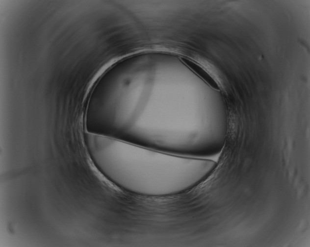 X0000097641100200802290816
