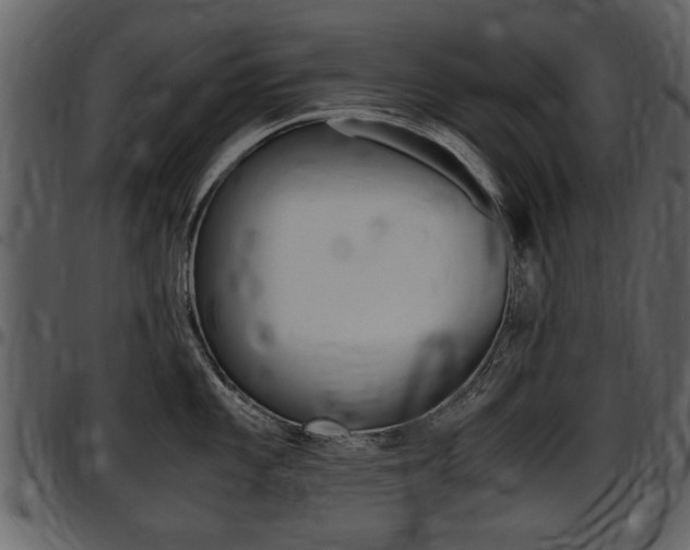 X0000097641101200802290816