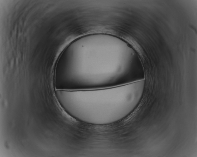X0000097641102200802290816