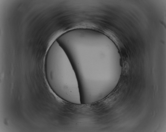 X0000097641103200802290816