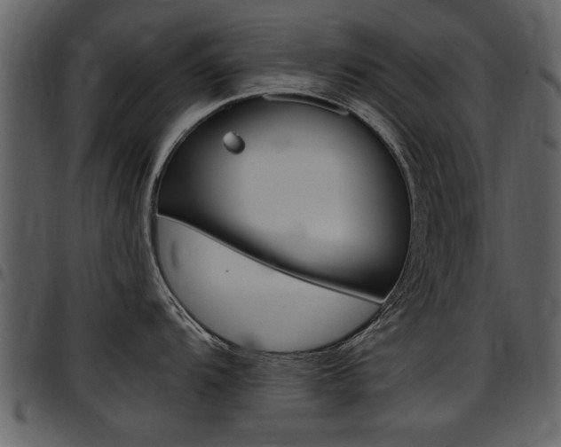 X0000097641104200802290816
