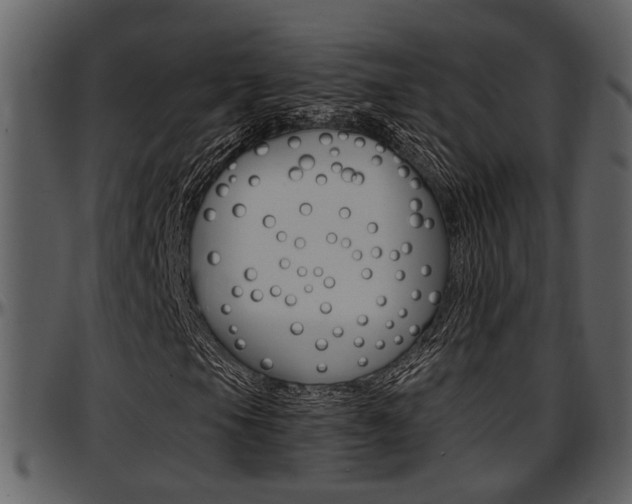 X0000097641105200802290815