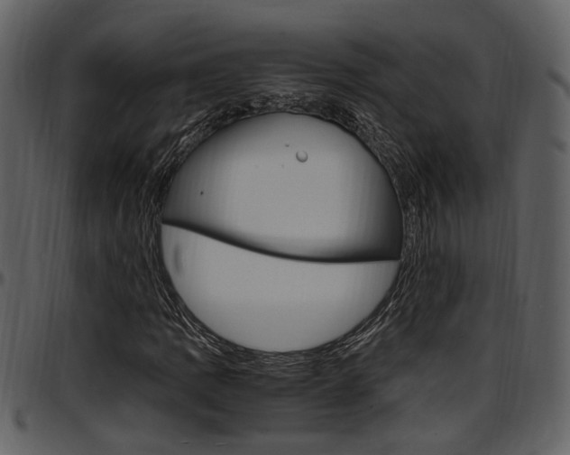 X0000097641109200802290815