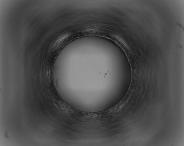 X0000097641111200802290815