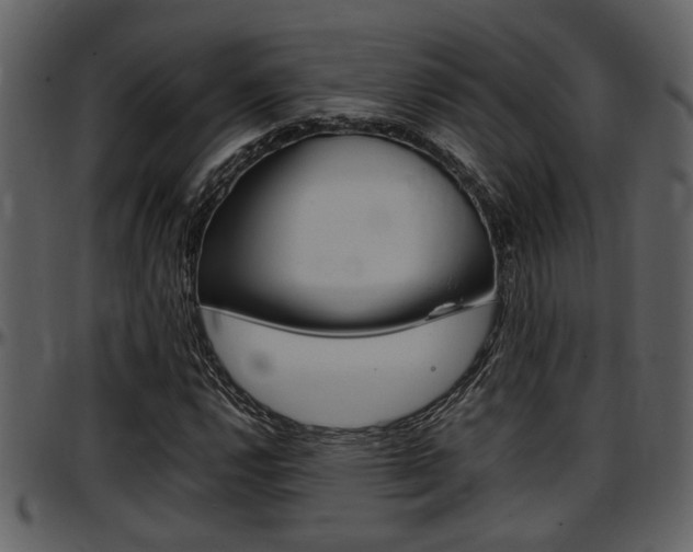 X0000097641112200802290815