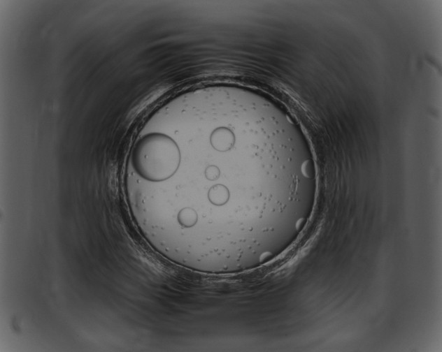 X0000097641113200802290816